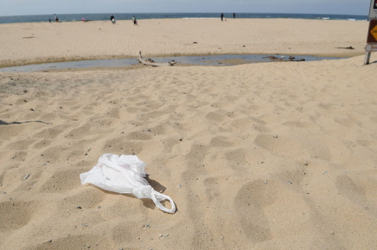 plastic bag beach