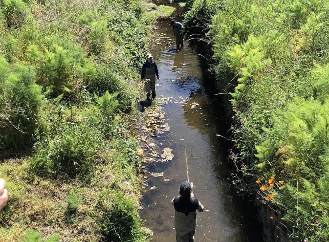 Photo of trash monitoring in a creek