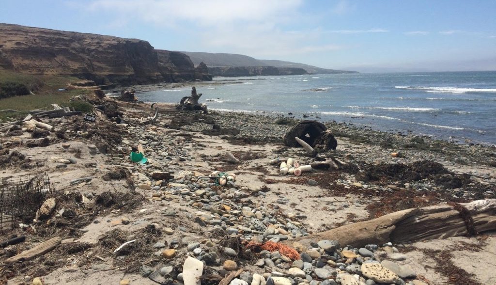 Plastic Pollution on Tecelote Beach on Santa Rosa Island; photo credit Michaela Miler