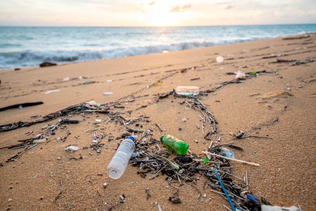 plastic bottles on beach