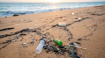 plastic bottles on beach
