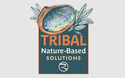 Tribal Nature Bases Solutions logo