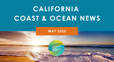 California Coast and Ocean News May 2025