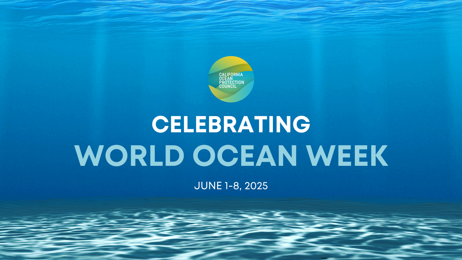 Celebrating World Ocean Week